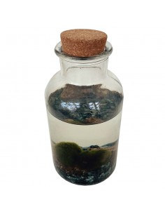 MARIMO Diametro 10 Cm Altezza 20 Cm