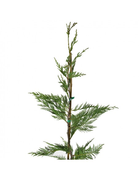 CIPRESSO LEYLANDII Diametro vaso 20 Cm