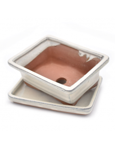 VASO BONSAI POTSET WHITE 15 cm 2