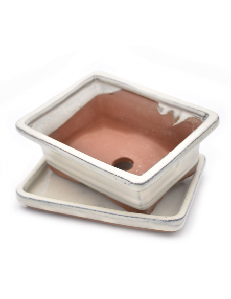 VASO BONSAI POTSET WHITE 15 cm