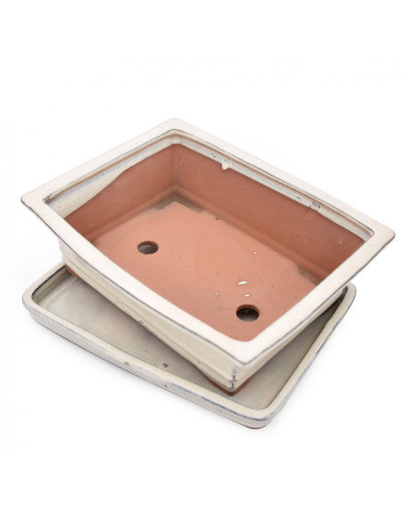 VASO BONSAI POTSET WHITE 25 cm