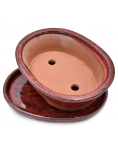 VASO BONSAI POTSET RED 25 cm 2
