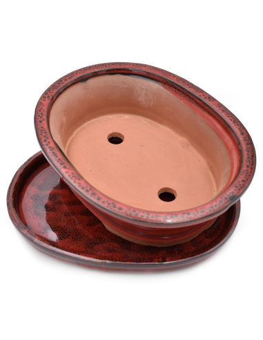 VASO BONSAI POTSET RED 25 cm
