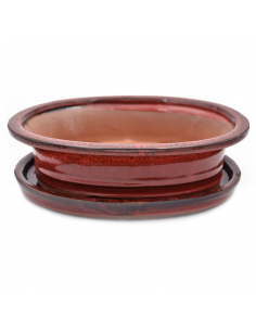 VASO BONSAI POTSET RED 25 cm