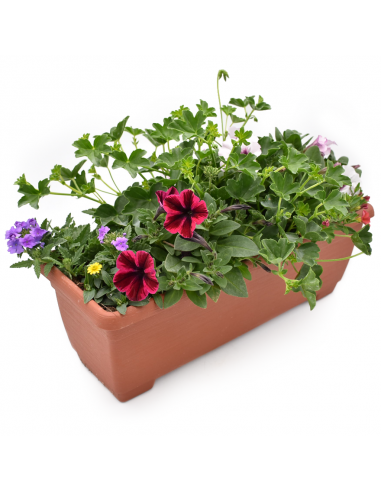 BALCONETTA MAXI PRIMAVERA 50 cm