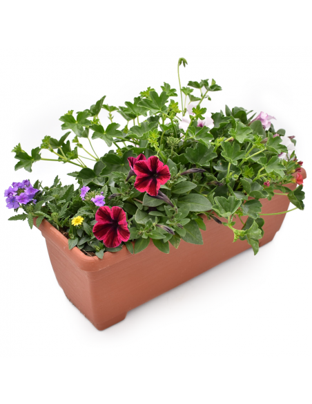 BALCONETTA MAXI PRIMAVERA 50 cm