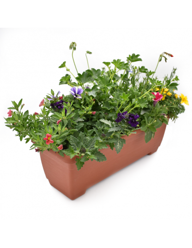 BALCONETTA MAXI PRIMAVERA 50 cm