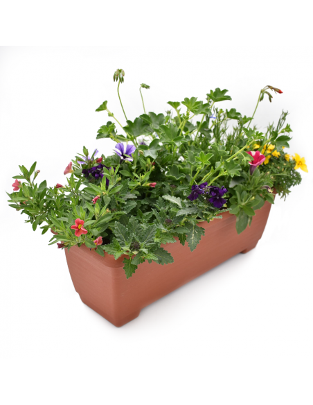 BALCONETTA MAXI PRIMAVERA 50 cm