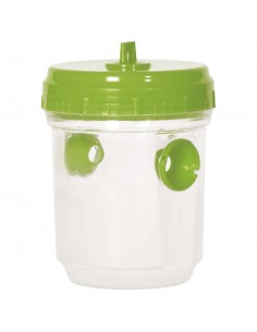 TRAPPOLA PER VESPE E INSETTI VARI BOX DA 2 PZ