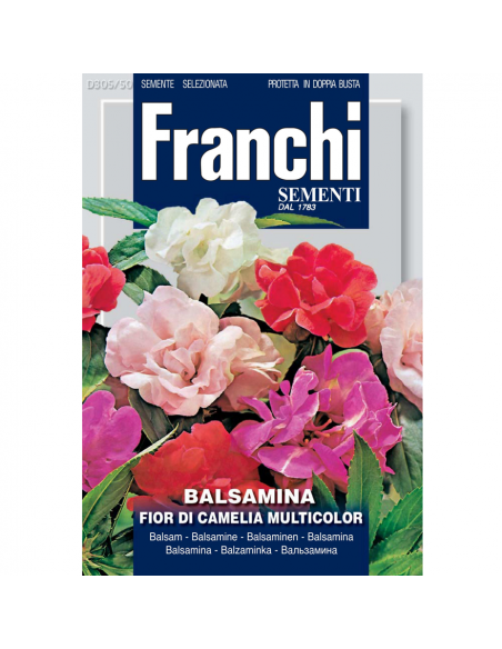 SEMI DI BALSAMINA Fior di Camelia Multicolor per aiuole vasi