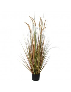 PLUME GRASS GREEN - H92XD35 cm