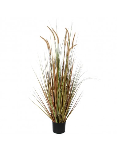 PLUME GRASS GREEN - H92XD35 cm