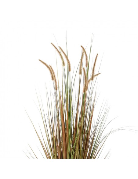 PLUME GRASS GREEN - H92XD35 cm