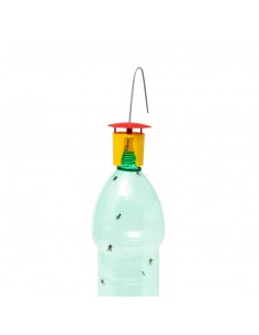 TSE-TSE (MOSCHE E INSETTI) 7 pz 2