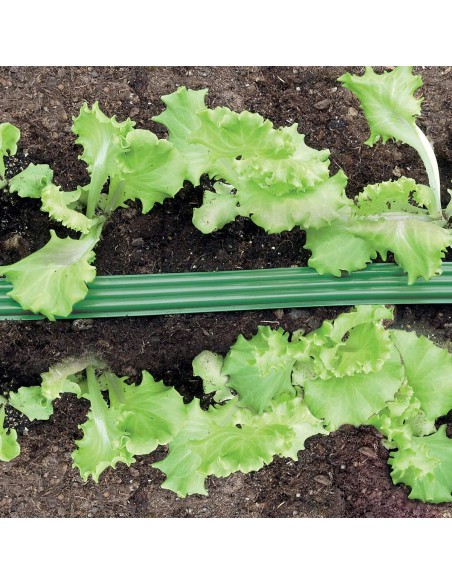 TUBO MICROIRRIGAZIONE TRIPLO FORATO 7,5 M CLABER