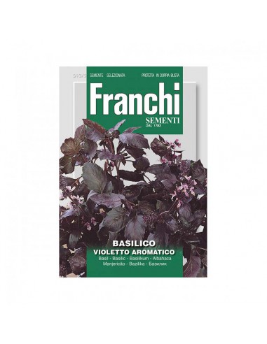 BASILICO DARK 'Violetto Aromatico'