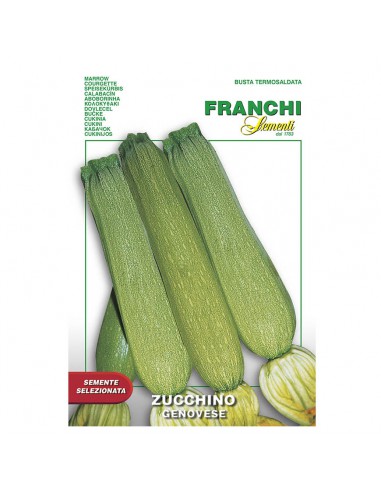 ZUCCHINO GENOVESE