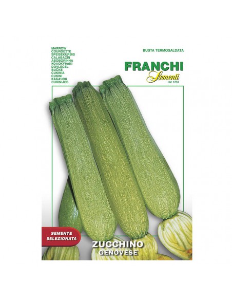 ZUCCHINO GENOVESE