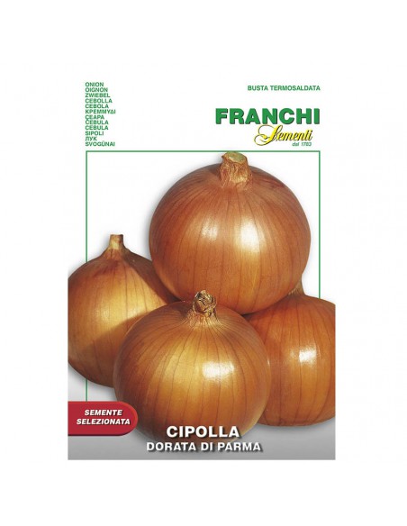 SEMI CIPOLLA DORATA DI PARMA