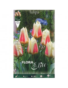 Decorazione del cortile,Pianta decorativa magica,Tulipani bulbi,Misteriosa pianta ornamentale-20 Bulbi,1