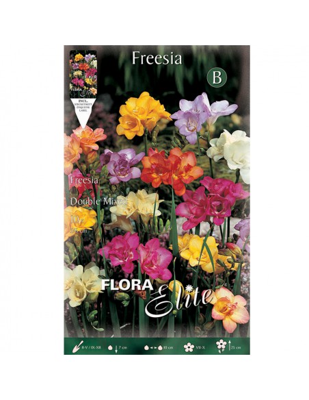 FRESIA "MIXED" COLORI ASSORTITI (double) 10 BULBI