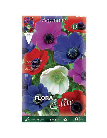ANEMONE COLORI ASSORTITI (coronaria de caen) 20 BULBI