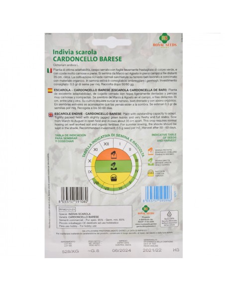 INVIDIA SCAROLA 'CARDONCELLO BARESE' MAXI
