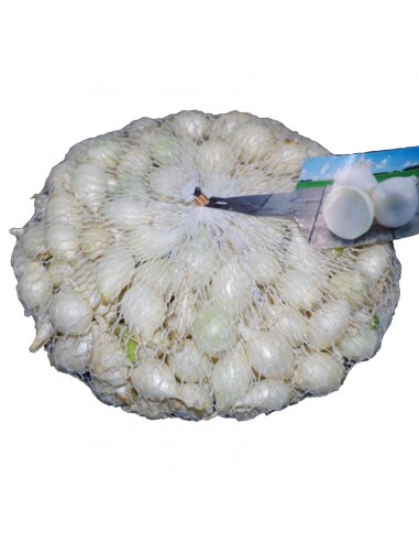 Bulbi di CIPOLLA BIANCA confezione da 500 grammi