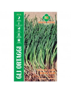 SEMI SALSOLA SODA ROSCANO
