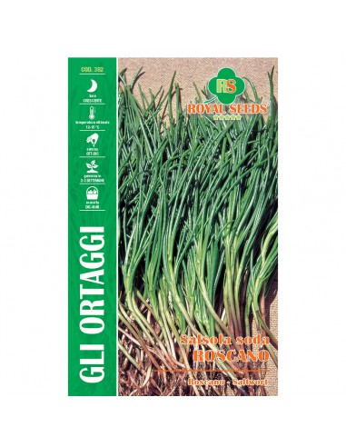 SEMI SALSOLA SODA ROSCANO