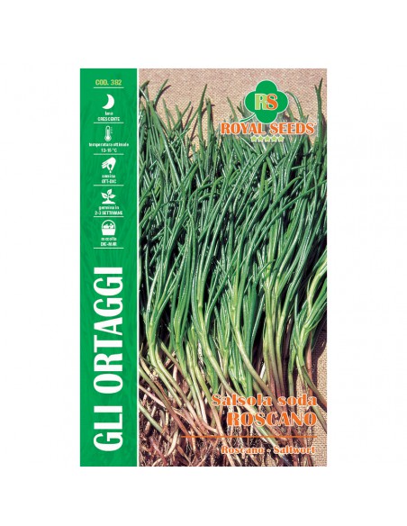 SEMI SALSOLA SODA ROSCANO