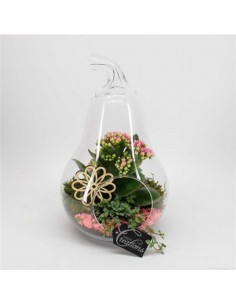TERRARIUM COMPOSIZIONE PIANTE "La Pera" Vaso in vetro