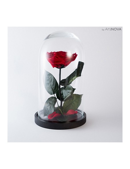 ROSA INCANTATA PROFUMATA H 30 CM BASE IN LEGNO PACKAGING - COLORE ROSSO