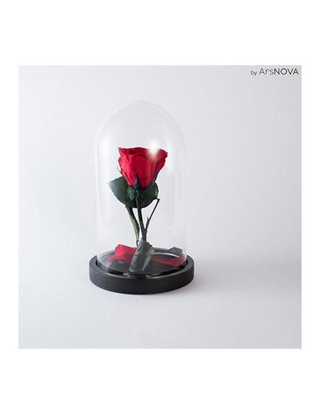 ROSA INCANTATA PROFUMATA H 24 CM BASE IN LEGNO PACKAGING - COLORE ROSSO