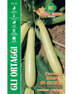 SEMI ZUCCHINO BIANCO DI SICILIA