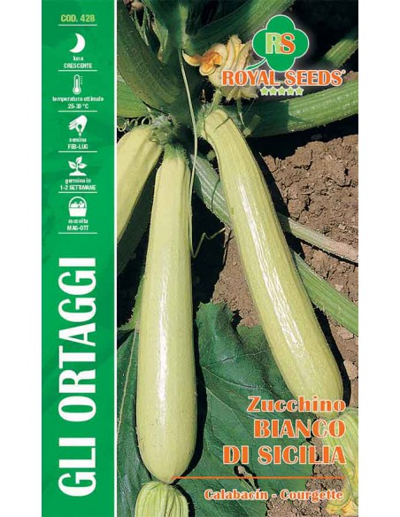 SEMI ZUCCHINO BIANCO DI SICILIA