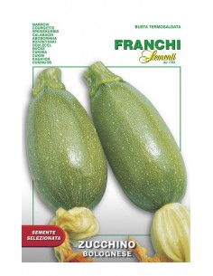 SEMI ZUCCHINO BOLOGNESE