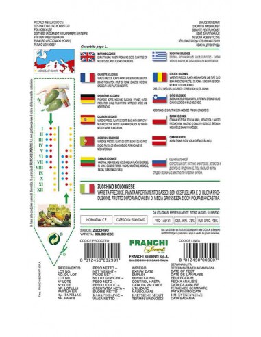 SEMI ZUCCHINO BOLOGNESE