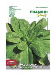 SEMI DI VALERIANA D'OLANDA SEME GROSSO Foglie tenere