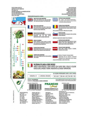 SEMI DI VALERIANA D'OLANDA SEME GROSSO Foglie tenere