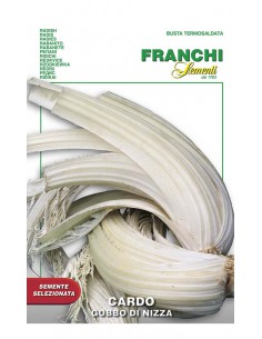 SEMI CARDO GOBBO DI NIZZA
