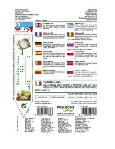 SEMI DI CAVOLFIORE PALLA DI NEVE Crescita rapida.