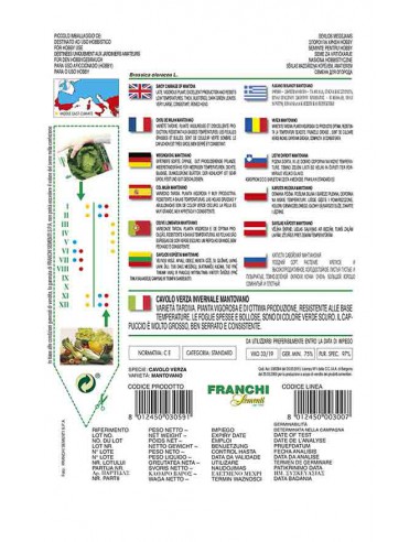 SEMI CAVOLO VERZA MANTOVANO