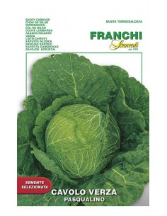 SEMI CAVOLO VERZA PASQUALINO