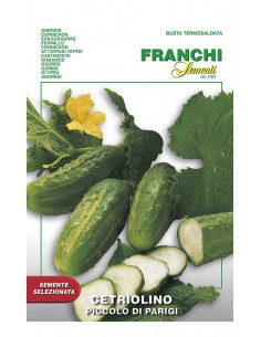 SEMI DI CETRIOLO PICCOLO VERDE DI  PARIGI da sottaceto