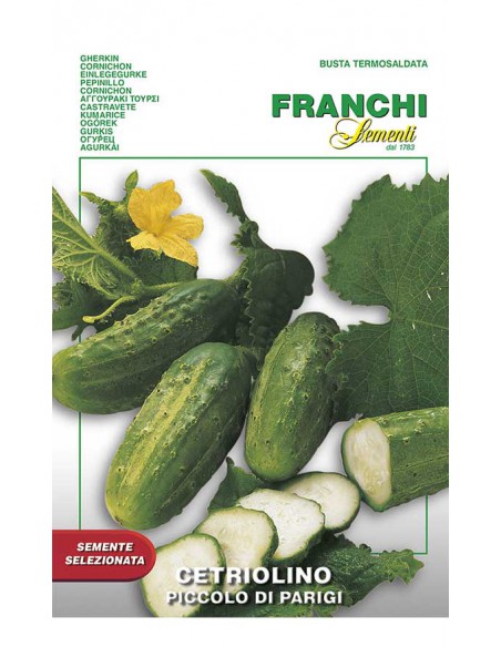 SEMI DI CETRIOLO PICCOLO VERDE DI  PARIGI da sottaceto