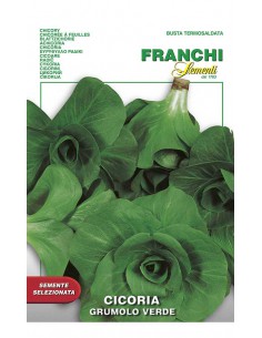 SEMI CICORIA GRUMOLO VERDE