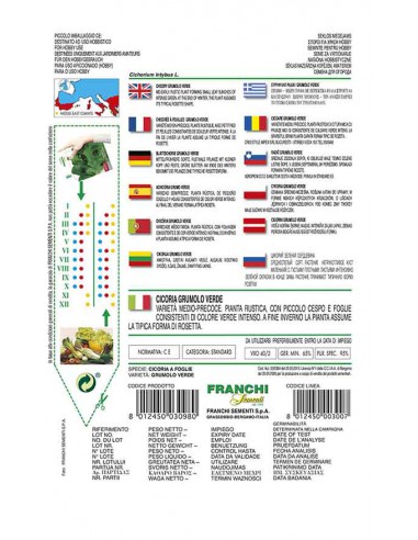 SEMI CICORIA GRUMOLO VERDE