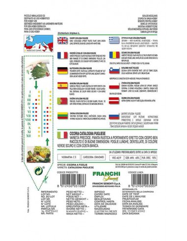 SEMI CICORIA CATALOGNA PUGLIESE