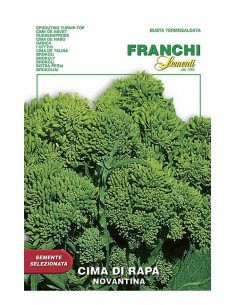 SEMI DI CIMA DI RAPA 90 GIORNI raccolto abbondante